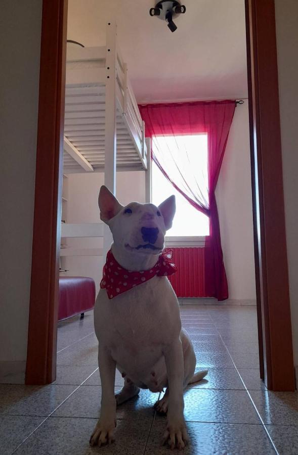 Bologna Homestay Εξωτερικό φωτογραφία